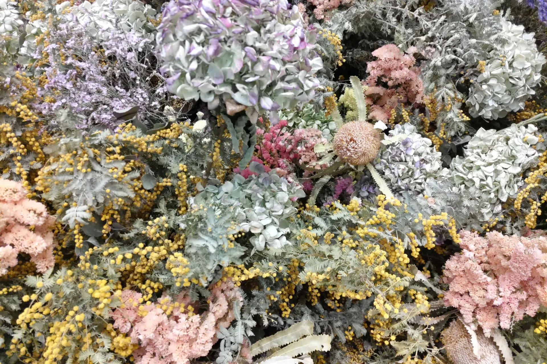 花の写真