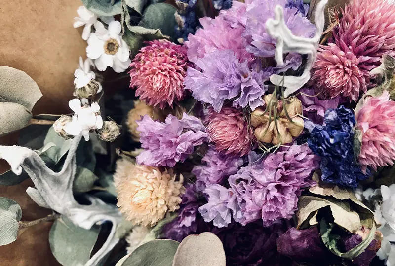花の写真